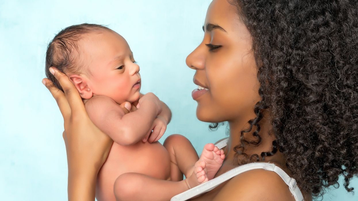 The Healthy Pregnancy Guide